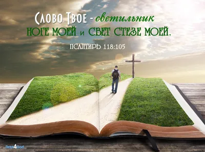 LiveBible / Живая Библия. Стихи из Библии, цитаты, проповеди - По сути,  «лукавство», «нечистота», «неискренность», «жестокое сердце» - это детали  одной и той же проблемы: эгоистический бунт против Божией любви, которая  хочет,