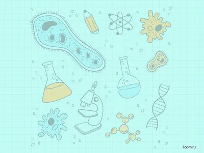 Биология картинки для презентации фотографии