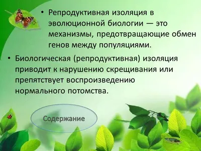 🇹🇯 МТМУ#1 ш.ИСТИКЛОЛ 🇹🇯 СОУ 1 г.ИСТИКЛОЛ 🏢📚📋💼📔🧮 | Презентации  учеников посвященные к недели Биологии.