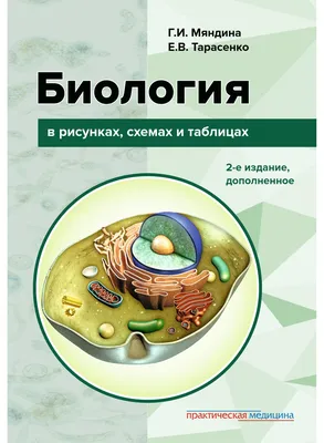 Учебник Биология. 7 класс Бактерии. Грибы. Растения - купить учебника по  биологии и экологии в интернет-магазинах, цены на Мегамаркет | 1633627