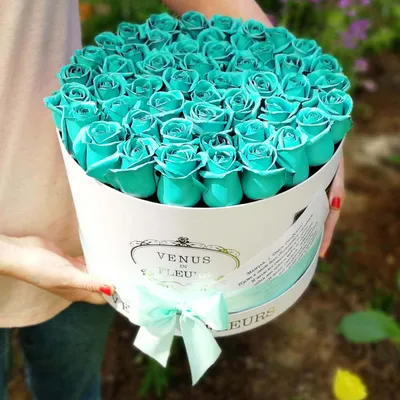 Бирюзовые розы в коробке от 9 шт. за 4 790 руб. | Бесплатная доставка  цветов по Москве