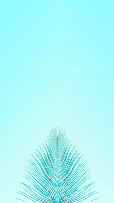 бирюзовые синие доски. летний резервный фон. морской берег Стоковое  Изображение - изображение насчитывающей морск, элемент: 220165543