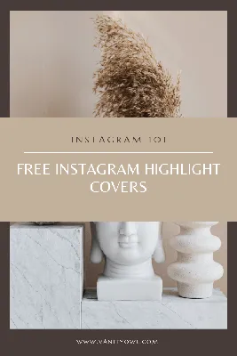 195+ Best Instagram Bios For Your Beauty Business [2024] - Starter