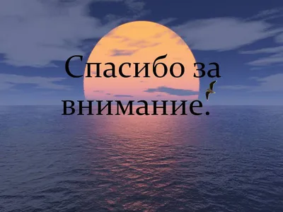 Нашивка на одежду, патч, шеврон на липучке \"Внимание! Спасибо за внимание\"  8,5х5,2 см - купить с доставкой по выгодным ценам в интернет-магазине OZON  (245432128)