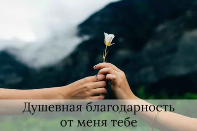 Благодарность и психическое здоровье - важность и преимущества