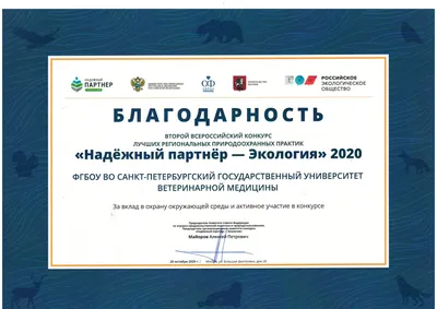 Шаблон школьной благодарности \"Академия\" - ГрамотаДел - Шаблоны -  Благодарность