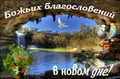 Доброе утро | Facebook