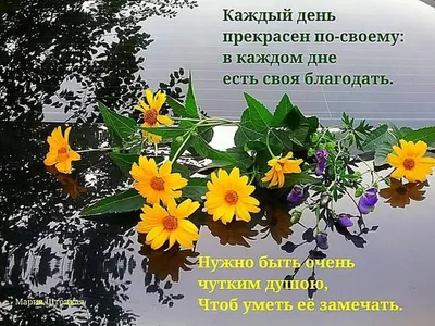 ○══════◅✾`”*°•.✿ღ 🌼🍃🌸💕🌸🍃🌼 ღ✿•°*”✾▻═══════○ ДОБРОЕ УТРО! Благословляю новый  день, благословляю.. | ВКонтакте