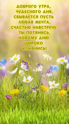 Доброго утра всем, хорошего дня и …» — создано в Шедевруме