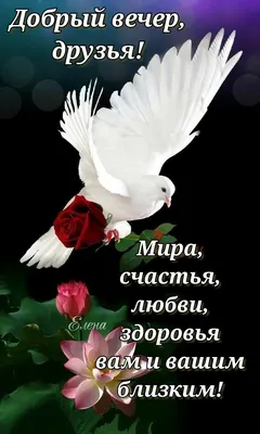 Благословенного вечера! 🕊️🌹 | Винтажные предпосылки, Благодарственные  открытки, Милые открытки