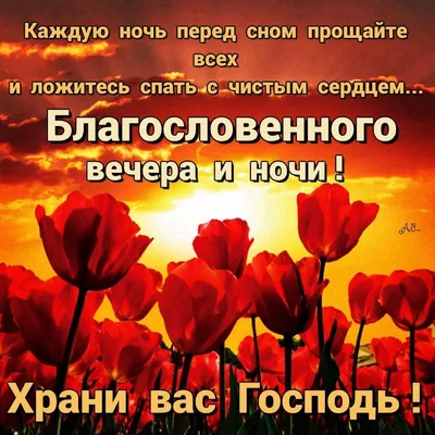Благословенной Ночи Картинки 67 фото