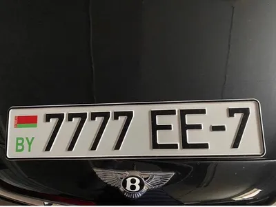 В Батуми штамповали \"блатные\" автомобильные номера – обвиняемый задержан -  25.05.2021, Sputnik Грузия