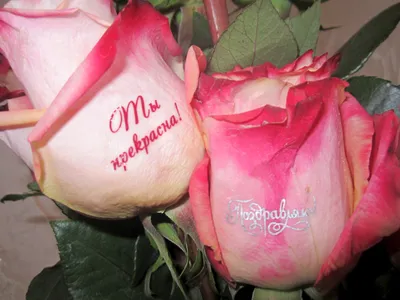 Игра в бисер: розовые розы, лунные гвоздики, блестящие шарики и другие  цветы по цене 6981 ₽ - купить в RoseMarkt с доставкой по Санкт-Петербургу