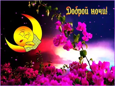 Доброй ночи #Волшебных снов 🌺🌼🌹 | TikTok