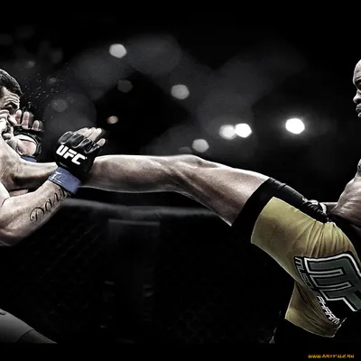 Boxing, Kickboxing, MMA Wallpaper by Joe09Art on DeviantArt