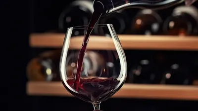 Бокалы для красного вина: из каких бокалов пьют красное вино