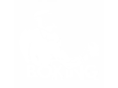Перчатки боксерские Punch, Бокс, белый, еда, лист png | Klipartz