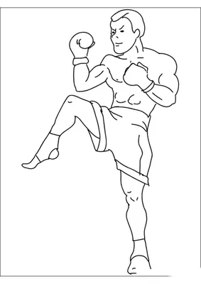 Боксерские перчатки в черно-белом цвете ручной рисунок, выделенный на белом  фоне векторная иллюстрация | Премиум векторы