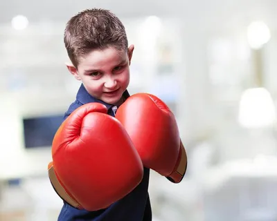 Программа «Адаптивный бокс» для детей с ОВЗ