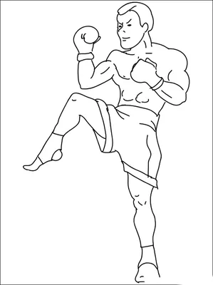 Бокс рисунок карандашом - 56 фото