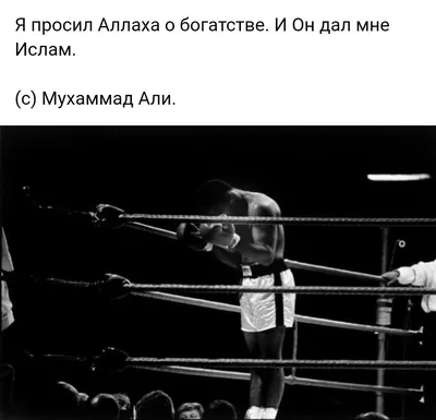Подарочный бокс «Коробка ничего» Standart — купить в Москве в  интернет-магазине Milarky.ru