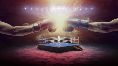Профессиональный и любительский бокс: разница и особенности - Спорт 24