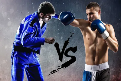 Индивидуальные занятия боксом в Москве — Академия Бокса