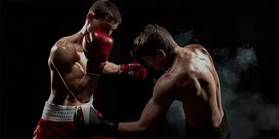 Тренировки по тайскому боксу в Москве – индивидуальные тренировки для  начинающих | Ермак