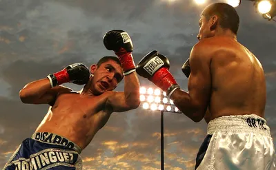 10 боев, которые спасут профессиональный бокс