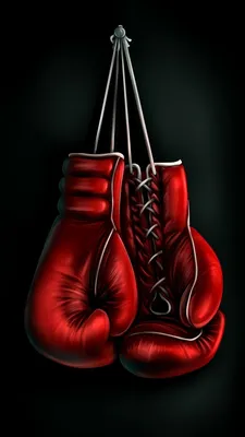 Перчатки боксерские Hukk черный/белый/красный цвет — купить за 2799 руб.,  отзывы в интернет-магазине Спортмастер