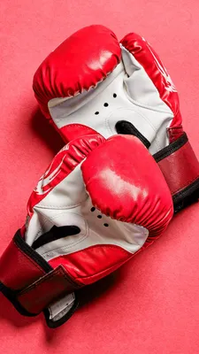 Боксерские перчатки из искусственной кожи черные FIT-144876_2