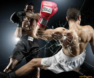 Обои Boxing Спорт Бокс, обои для рабочего стола, фотографии boxing, спорт,  бокс, ринг, бой Обои для рабочего стола, скачать обои картинки заставки на  рабочий стол.