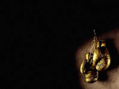 полный профиль боксера с красными боксерскими перчатками, тренируясь с  бесплатной подставкой Стоковое Изображение - изображение насчитывающей  кавказско, бой: 247474159