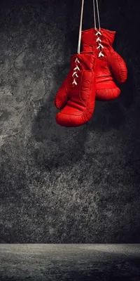 Пара Boxing Gloves Вешать На Стену — стоковые фотографии и другие картинки  Без людей - Без людей, Бокс - спорт, Боксёрская перчатка - iStock