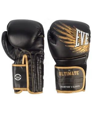 Боксерские перчатки Everlast Powerlock PU 2 белые купить в Петербурге с  консультацией профессионалов - Fight-Evolution