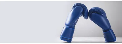 Купить Боксерские перчатки EVERLAST POWERLOCK PU 2 по низкой цене с  доставкой из марктеплейса Fight Express
