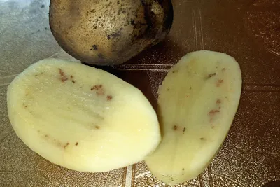 Внутри клубня картофеля коричневые вкрапления-это железистая или ржавая  пятнистость. Причины | Моё тридевятое царство | Дзен