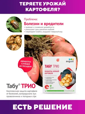 Болезнь картофеля: как ее определить и чем лечить? - ответы экспертов  7dach.ru
