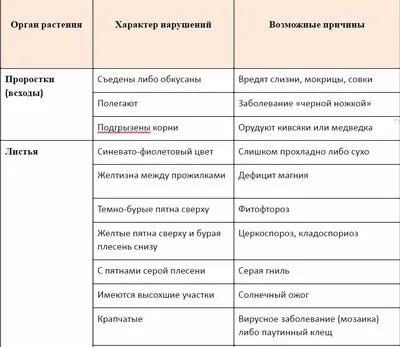 Как распознать болезни томатов и справиться с ними | Полезные статьи на  блоге Беккер