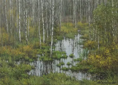 Насколько опасны болота и как по ним надо ходить | Летопись живой природы |  Дзен