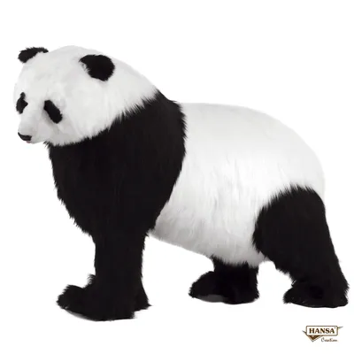 Большая панда спать на камне Стоковое Изображение - изображение  насчитывающей млекопитающее, сон: 51553439