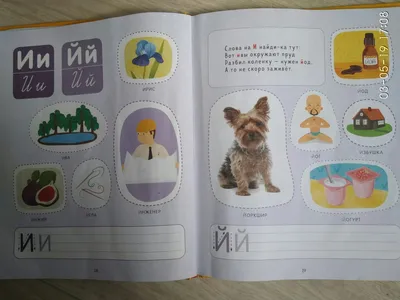 Книга Большая Викторина о Животных В картинках - купить книги по обучению и  развитию детей в интернет-магазинах, цены на Мегамаркет |