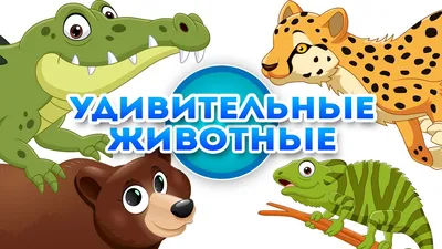 Друзья! Мы запустили увлекательную интерактивную онлайн-викторину для  дошкольников «Животные наших лесов»... | ВКонтакте