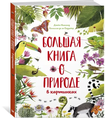 Новогодняя игра-викторина «Коробочка знаний», 3+ купить в Чите Развивающие  игры в интернет-магазине Чита.дети (7774874)