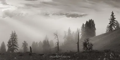 Черно-белые пейзажи | ФОТОВЫСТАВКА