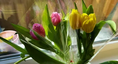 В 8 Марта сахалинцам предлагают ворваться с огромными тюльпанами наперевес.  Сахалин.Инфо