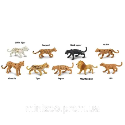 Энциклопедия «Большие кошки. Дикие животные Африки», 48 страниц купить в  Чите Энциклопедии в интернет-магазине Чита.дети (10063127)