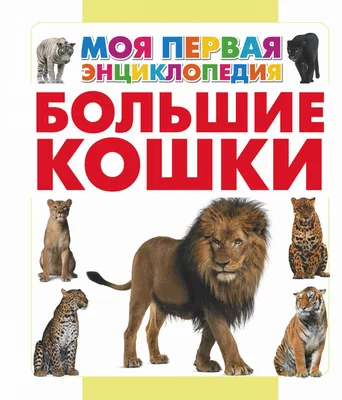 Книга Эндрю Кливера Большие кошки - Барахолка onliner.by