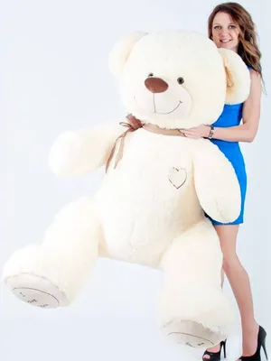 Большой плюшевый мишка великан 250см на подарок Огромные мишки гигант для  девушки Мягкие большие серые медведи (ID#1655094135), цена: 4029.50 ₴,  купить на Prom.ua