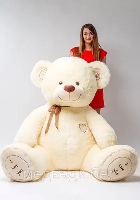 Большие плюшевые медведи - купить большого плюшевого мишку в Москве, цена